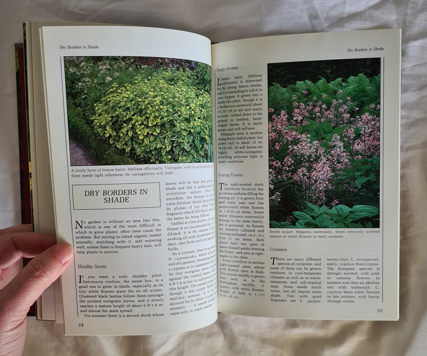 Fragrance by Ann Bonar