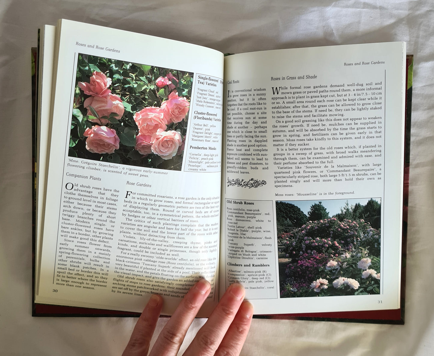 Fragrance by Ann Bonar