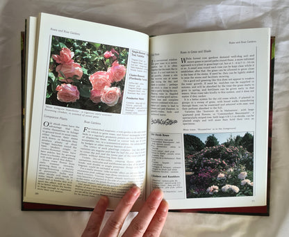 Fragrance by Ann Bonar