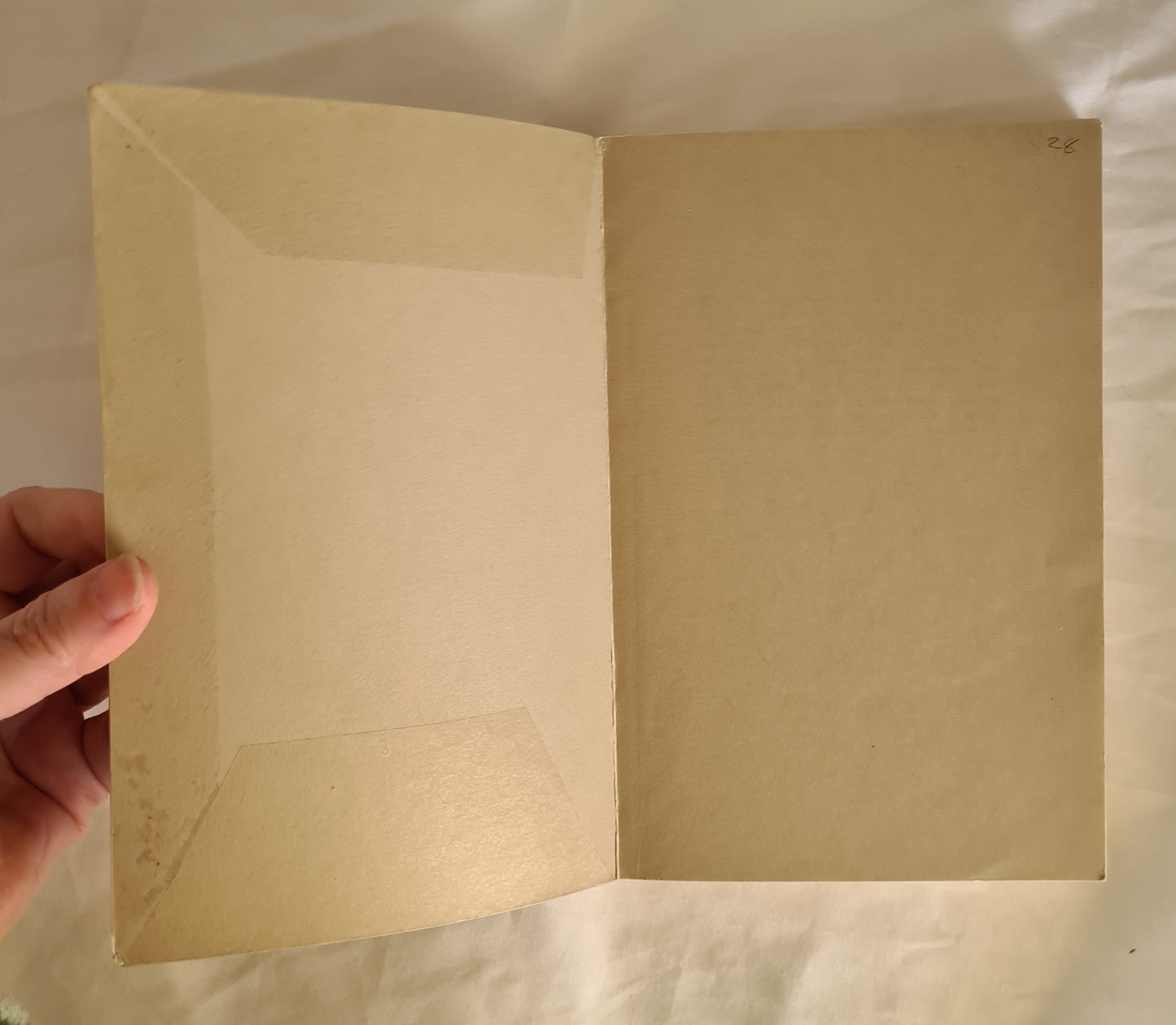 Wild Food in Australia by A. B. & J. W. Cribb