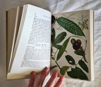 Wild Food in Australia by A. B. & J. W. Cribb