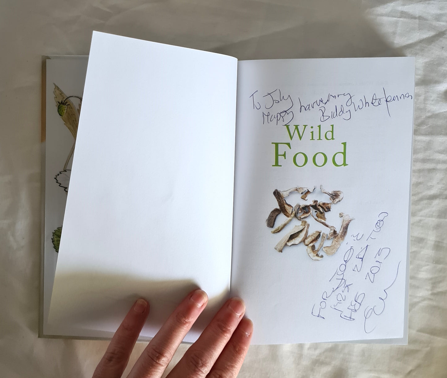 Wild Food by Biddy White Lennon and Evan Doyle