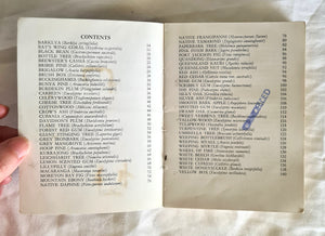 Some Trees of Australia by H. Oakman