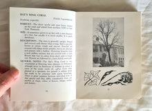 Load image into Gallery viewer, Some Trees of Australia by H. Oakman