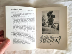 Some Trees of Australia by H. Oakman