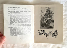 Load image into Gallery viewer, Some Trees of Australia by H. Oakman