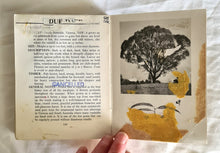 Load image into Gallery viewer, Some Trees of Australia by H. Oakman