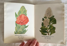Load image into Gallery viewer, Protected Wild Flowers of the Cape Province: Part I