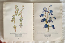 Load image into Gallery viewer, Protected Wild Flowers of the Cape Province: Part I