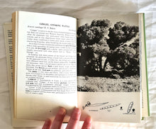 Load image into Gallery viewer, A Field Guide to Australian Trees by Ivan Holliday and Ron Hill