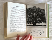 Load image into Gallery viewer, A Field Guide to Australian Trees by Ivan Holliday and Ron Hill