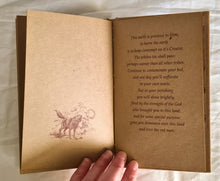 Load image into Gallery viewer, This Precious Earth Illustrations by Jan Gallehawk
