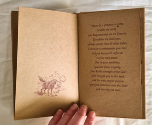 This Precious Earth Illustrations by Jan Gallehawk