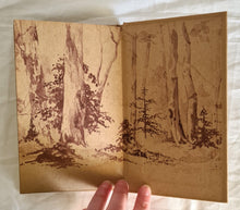 Load image into Gallery viewer, This Precious Earth Illustrations by Jan Gallehawk