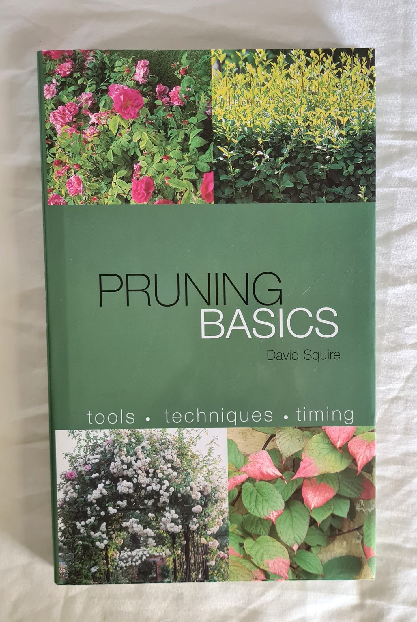 Pruning Basics  by David Squire