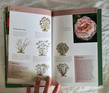 Load image into Gallery viewer, Pruning Basics by David Squire