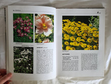 Load image into Gallery viewer, Perennials by Stirling Macoboy