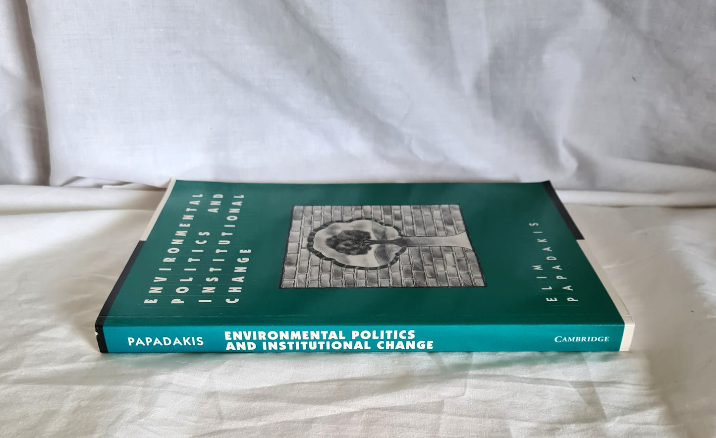 Environmental Politics and Institutional Change by Elim Papadakis
