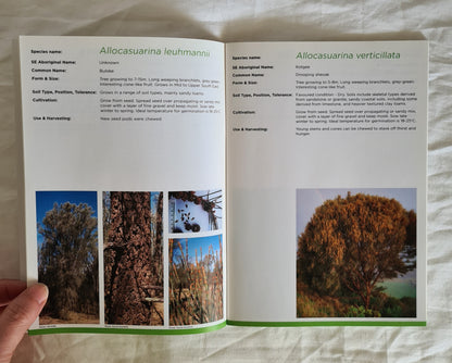 Useful Indigenous Plants of the South East by Neville Bonney