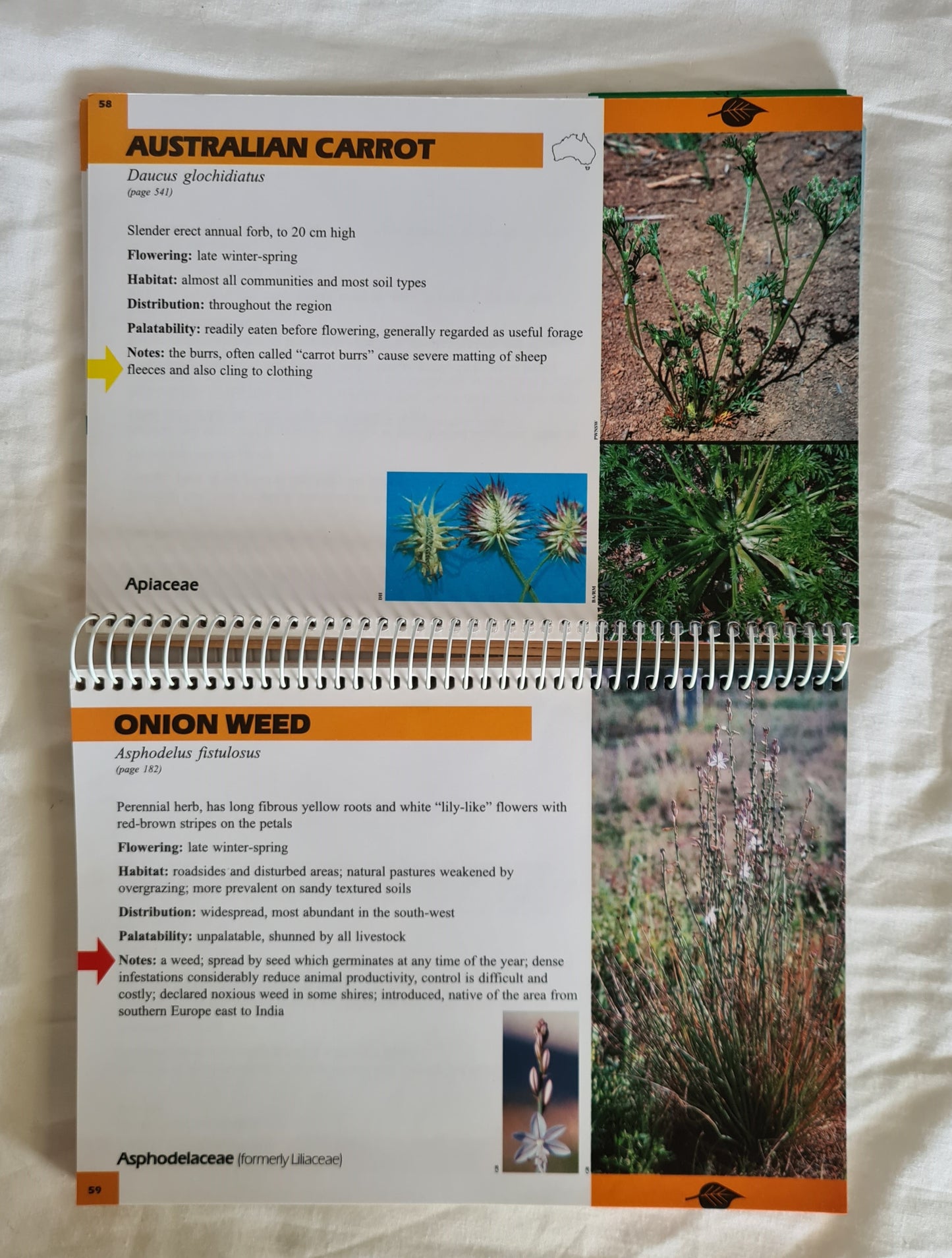 The Glove Box Guide to Plants of the NSW Rangelands by Greg Brooke and Lori McGarva