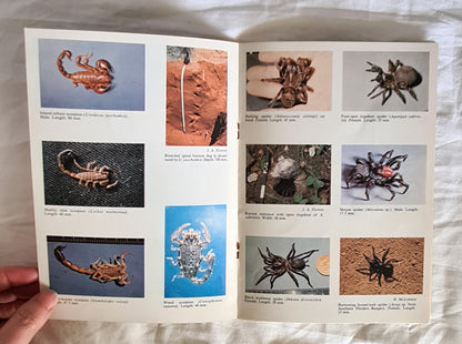 Spiders and Other Arachnids of South Australia by D. C. Lee and R. V. Southcott