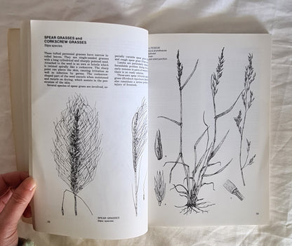 Poisonous Plants by E. J. McBarron