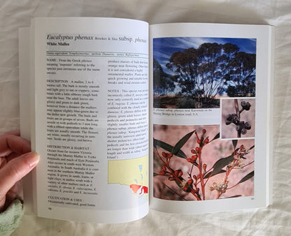 Eucalypts of South Australia by Dean Nicolle