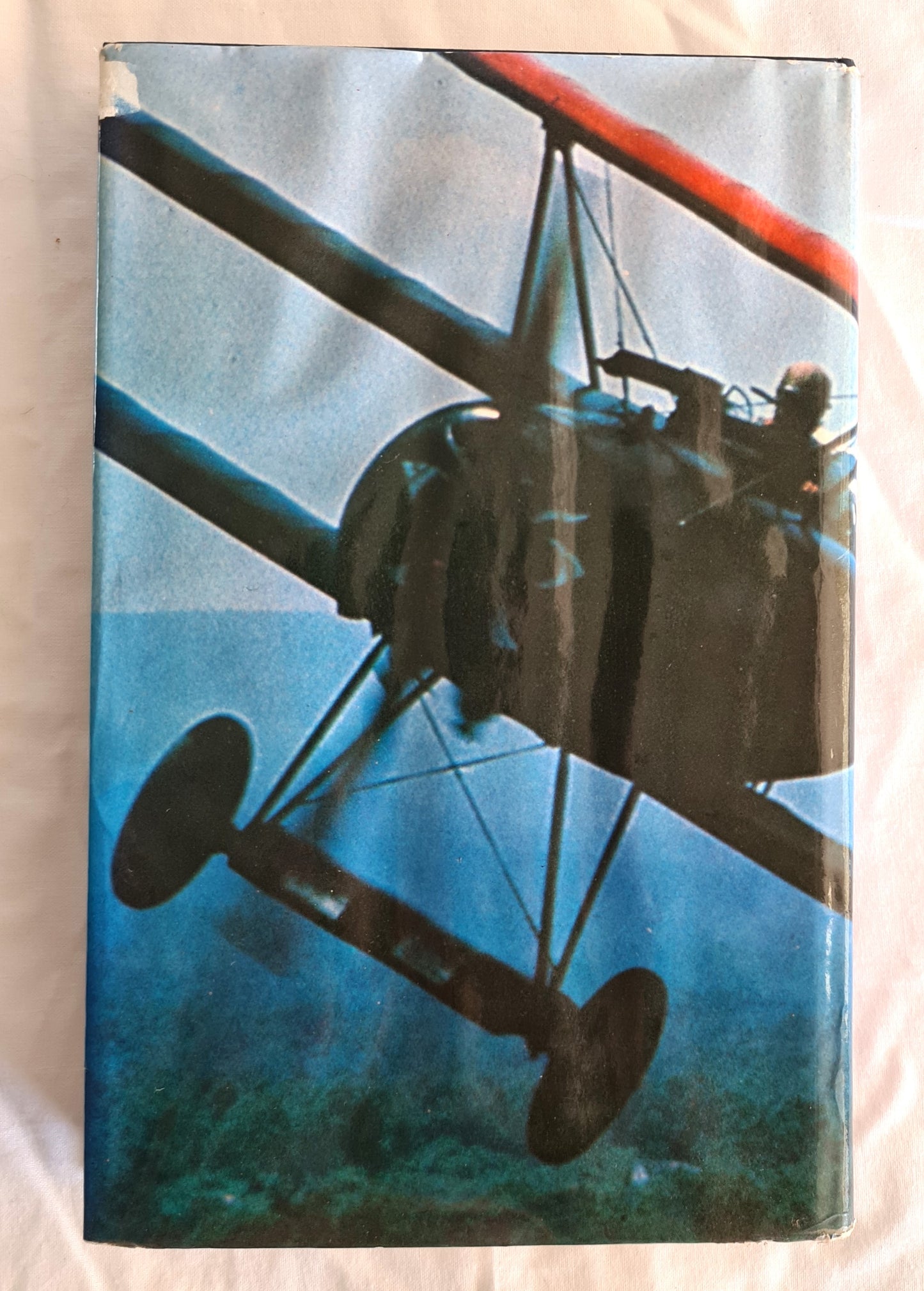 Australian Aviator by Sir Norman Brearley