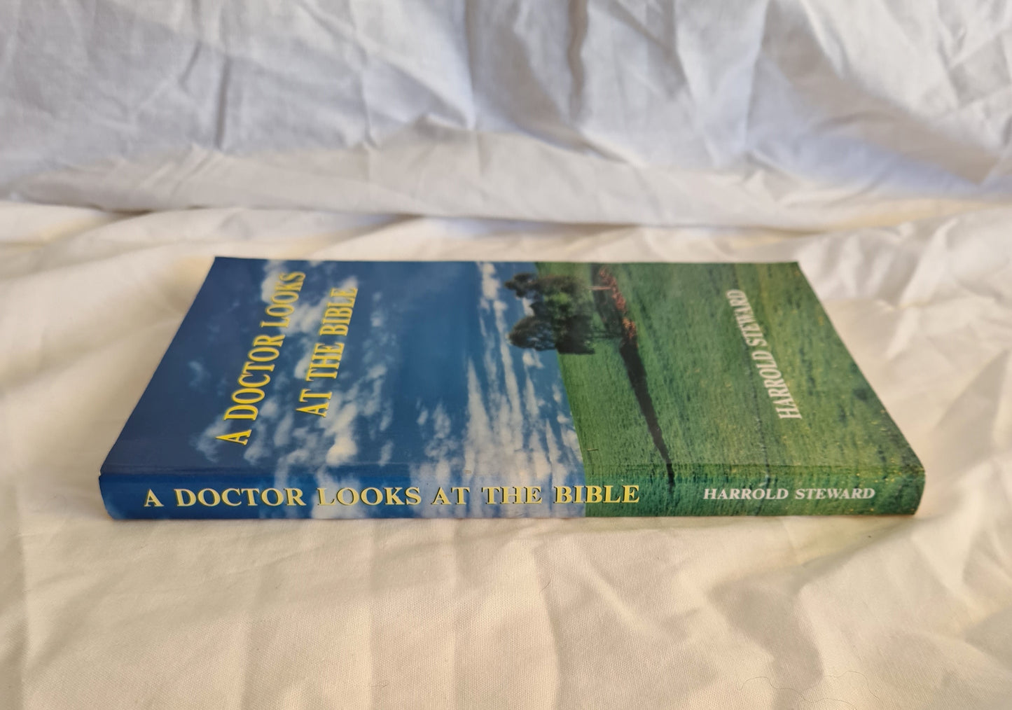 A Doctor Looks At The Bible by Harrold Steward