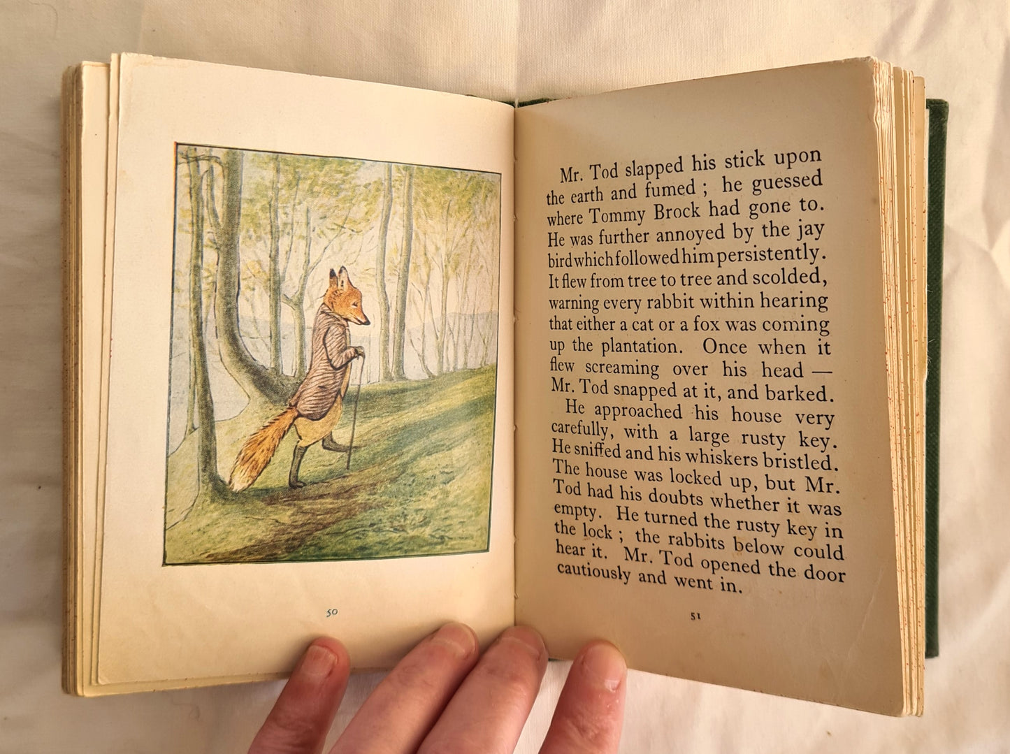 The Tale of Mr Tod by Beatrix Potter