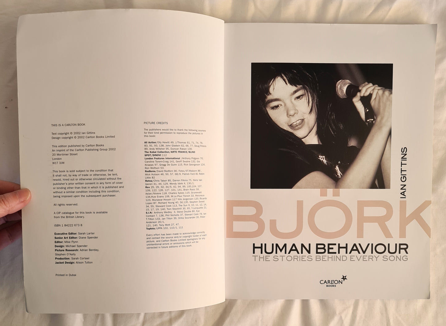 Bjork: Human Behaviour by Ian Gittins