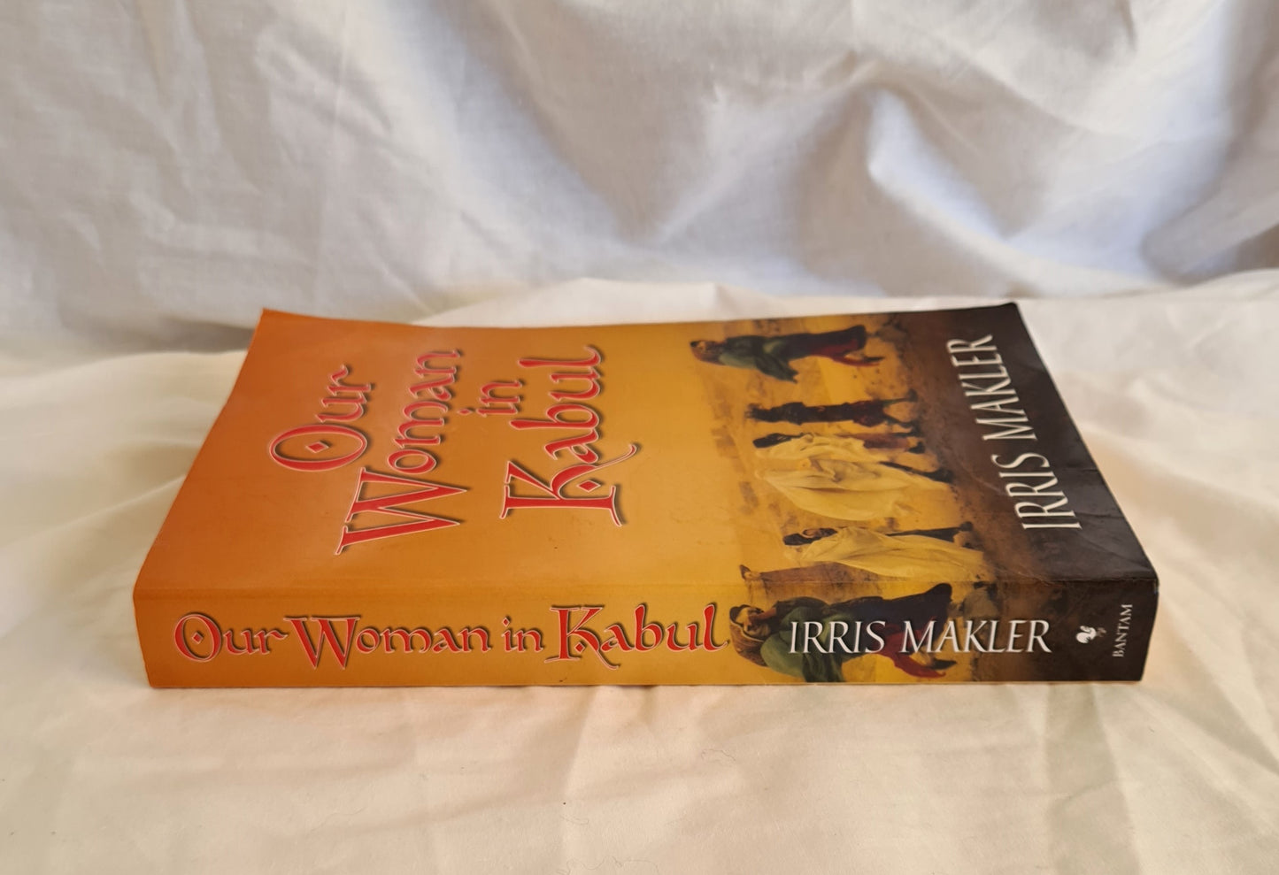 Our Woman in Kabul by Irris Makler