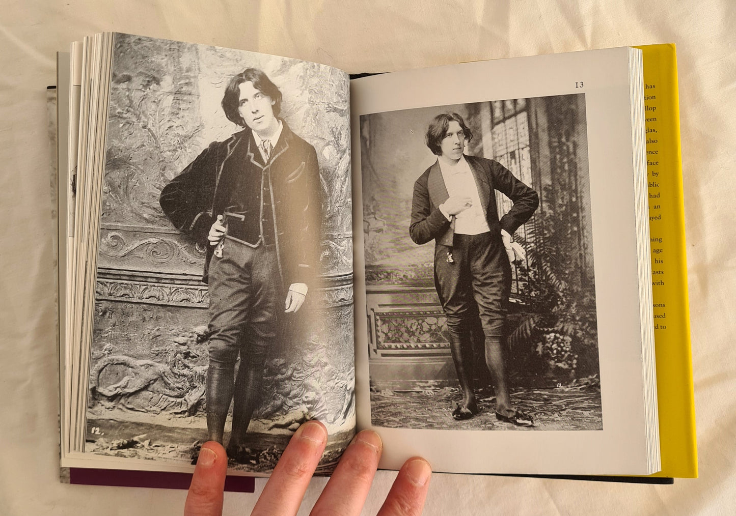 The Wilde Album by Merlin Holland