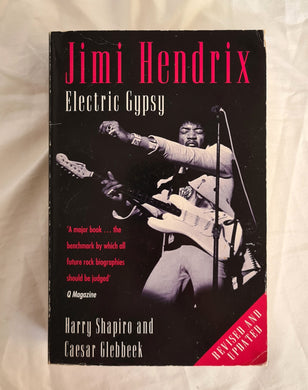 Jimi Hendrix Electric Gypsy by Harry Shapiro and Caesar Glebbeek