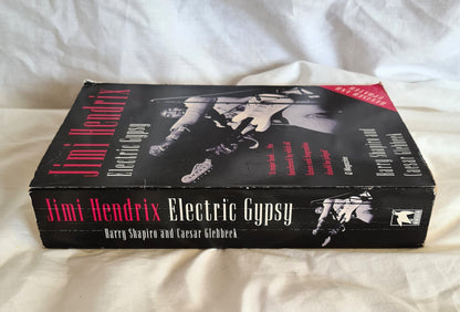 Jimi Hendrix Electric Gypsy by Harry Shapiro and Caesar Glebbeek