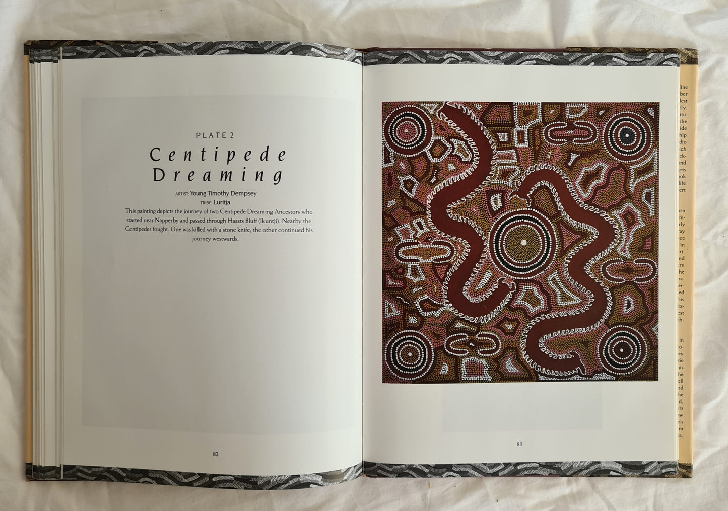 Wildbird Dreaming by Nadine Amadio and Richard Kimber