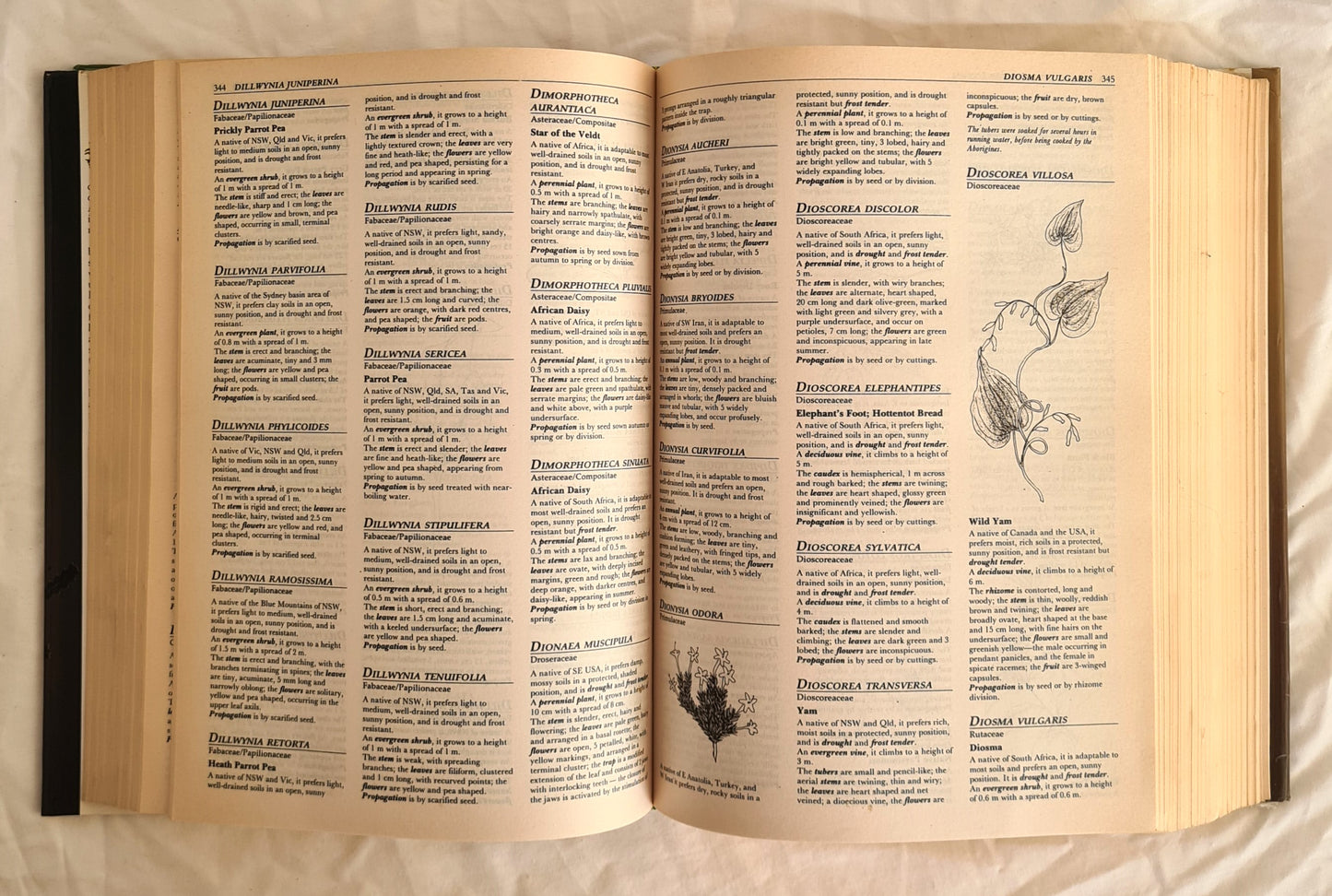 Encyclopaedia Botanica by Frances Bodkin