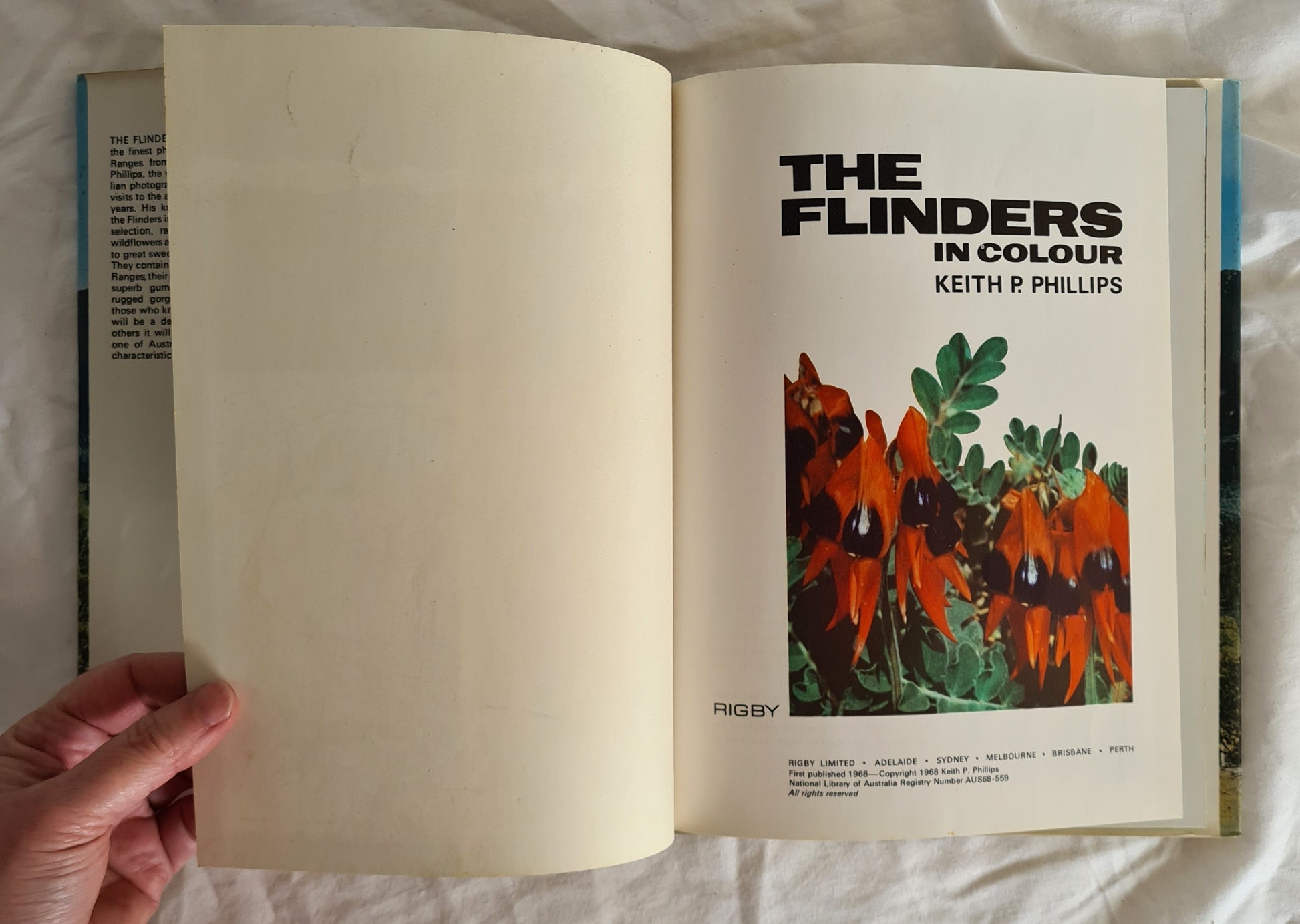 The Flinders in Colour by Keith P. Phillips