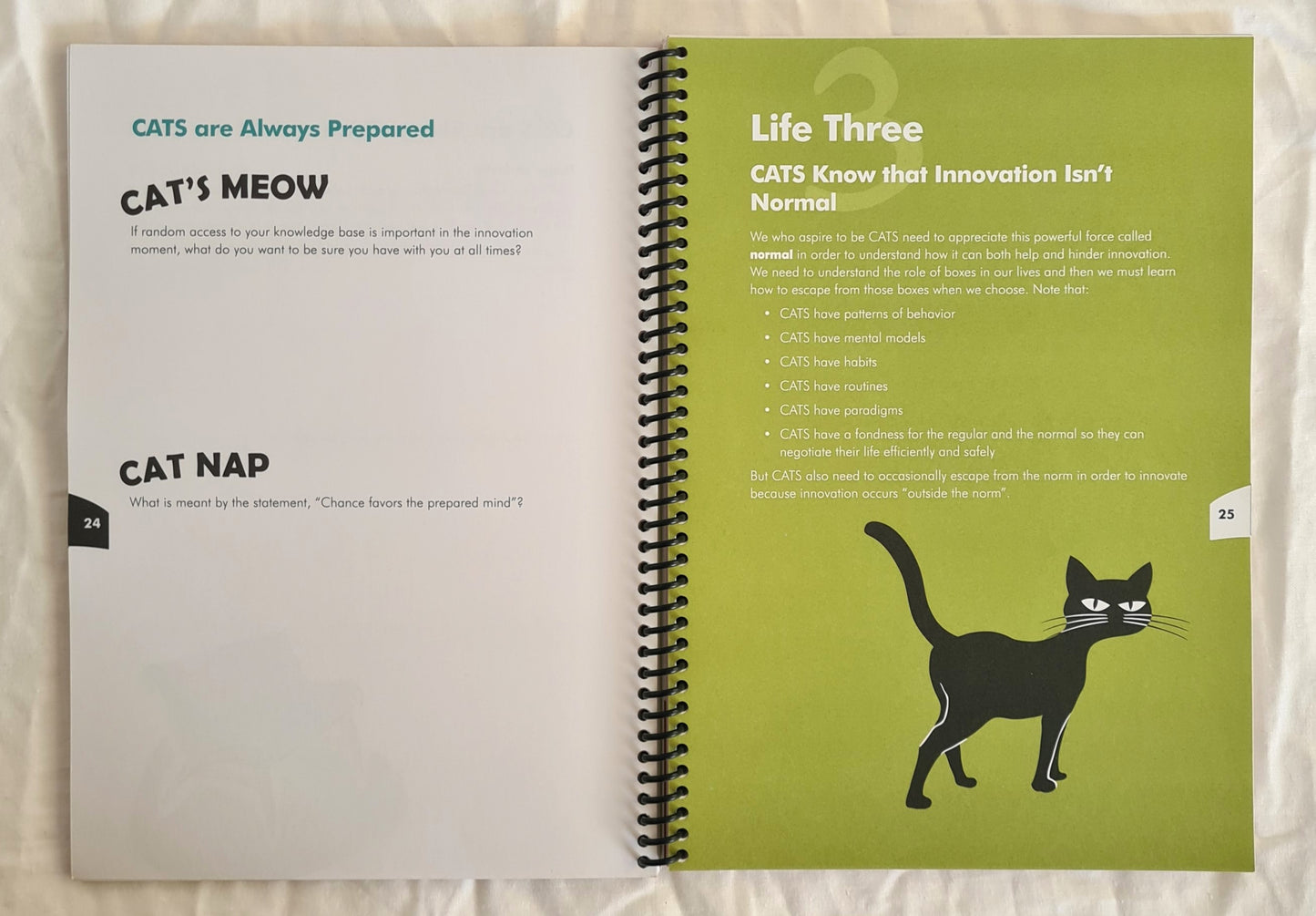 CATS: The Personal Guide by Stephen C. Ludin, Vivienne Anthon, Carolyn Barker and Jimmy Tan