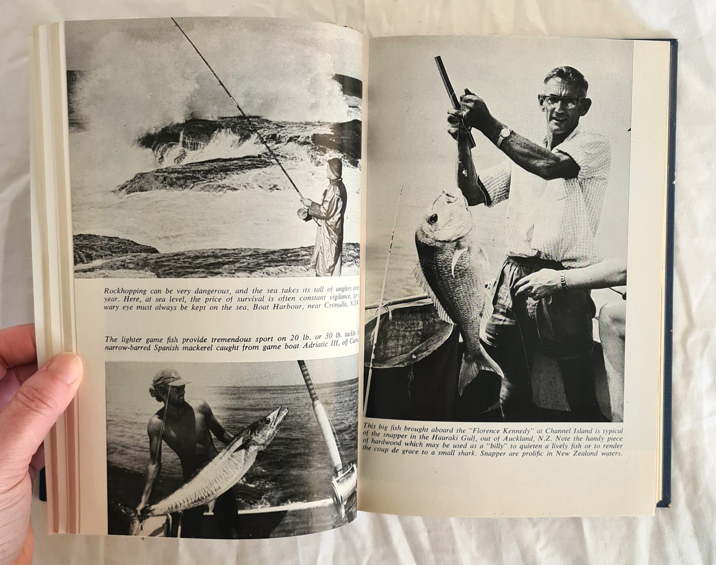 The Saltwater Angler by Wal Hardy (no jacket)