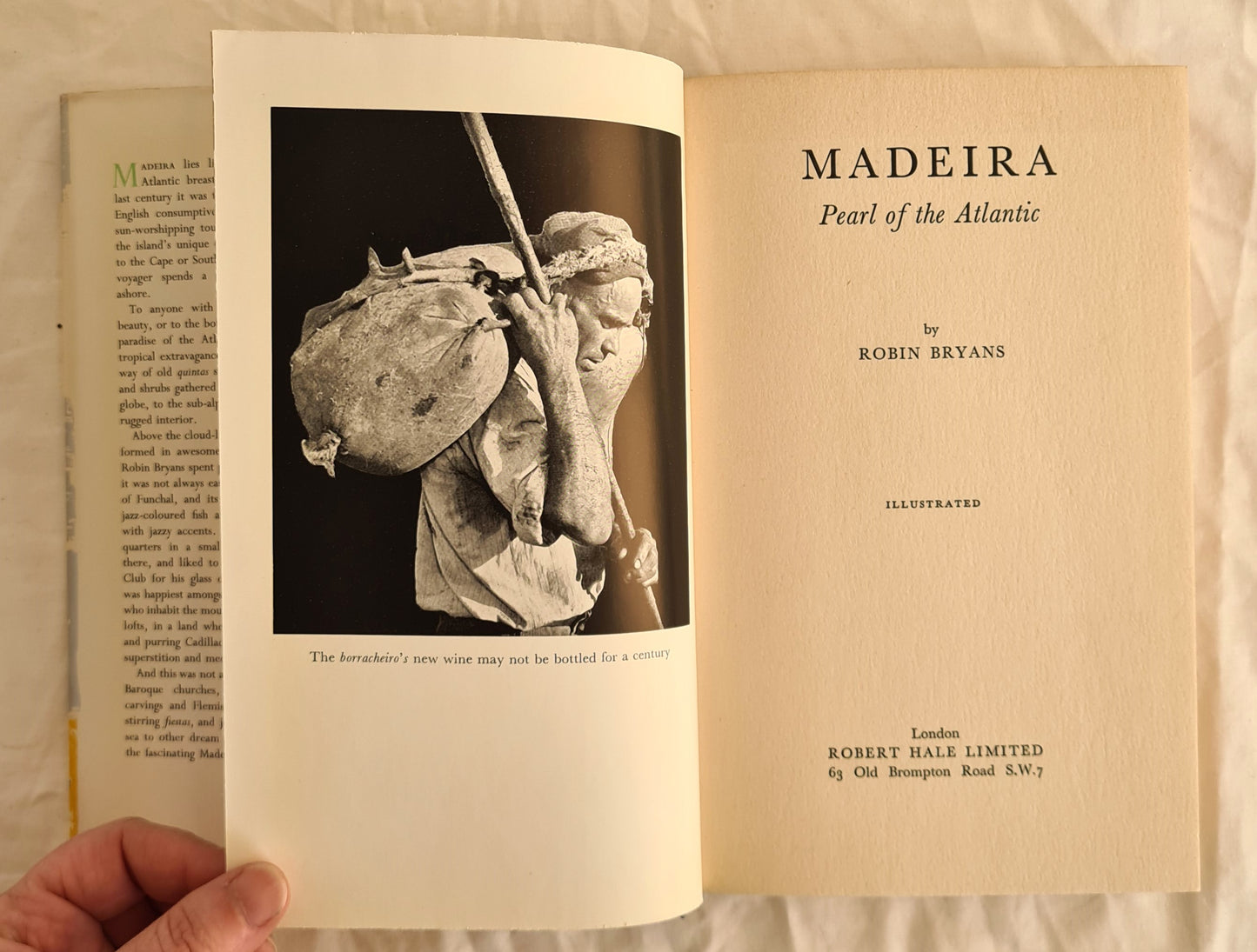 Madeira by Robin Bryans
