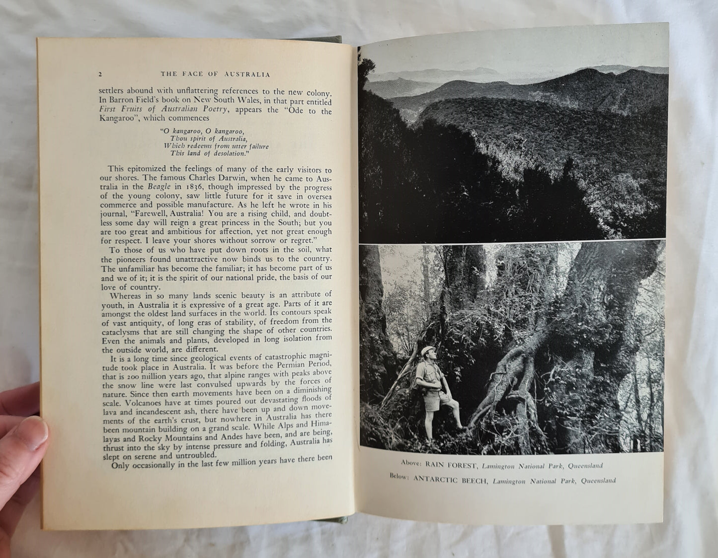The Face of Australia by Charles Francis Laseron