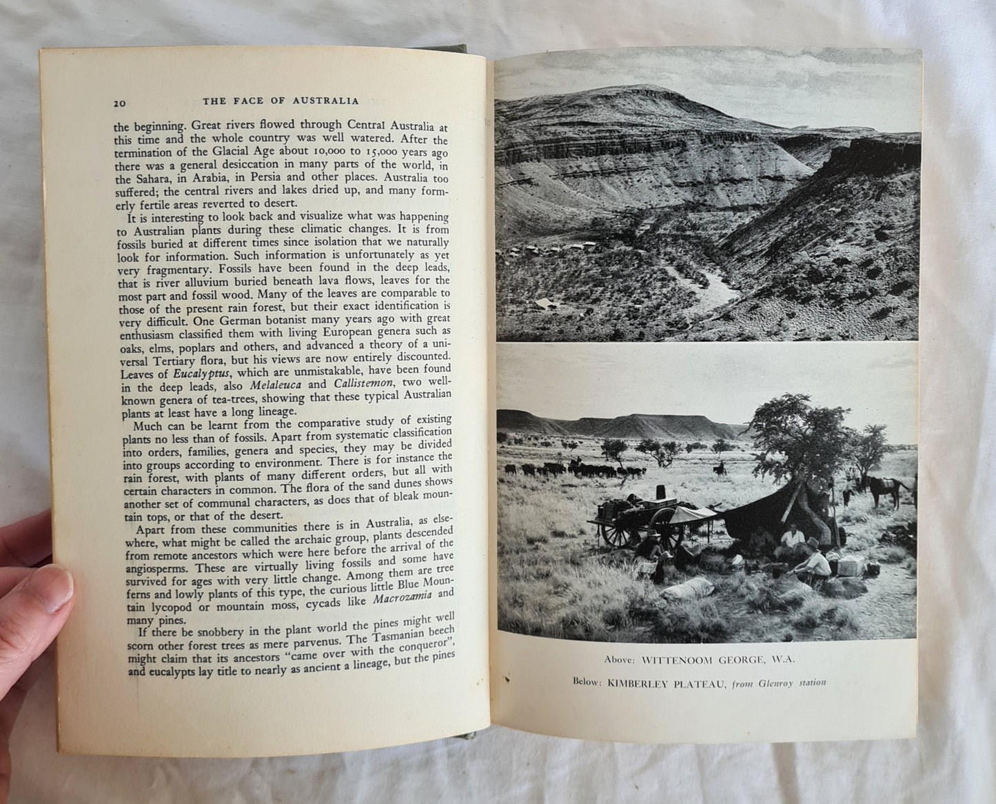 The Face of Australia by Charles Francis Laseron