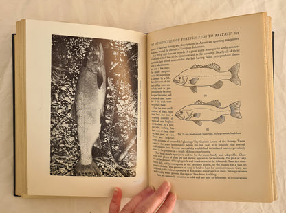 The Art of Angling by Kenneth Mansfield (Three Volumes)