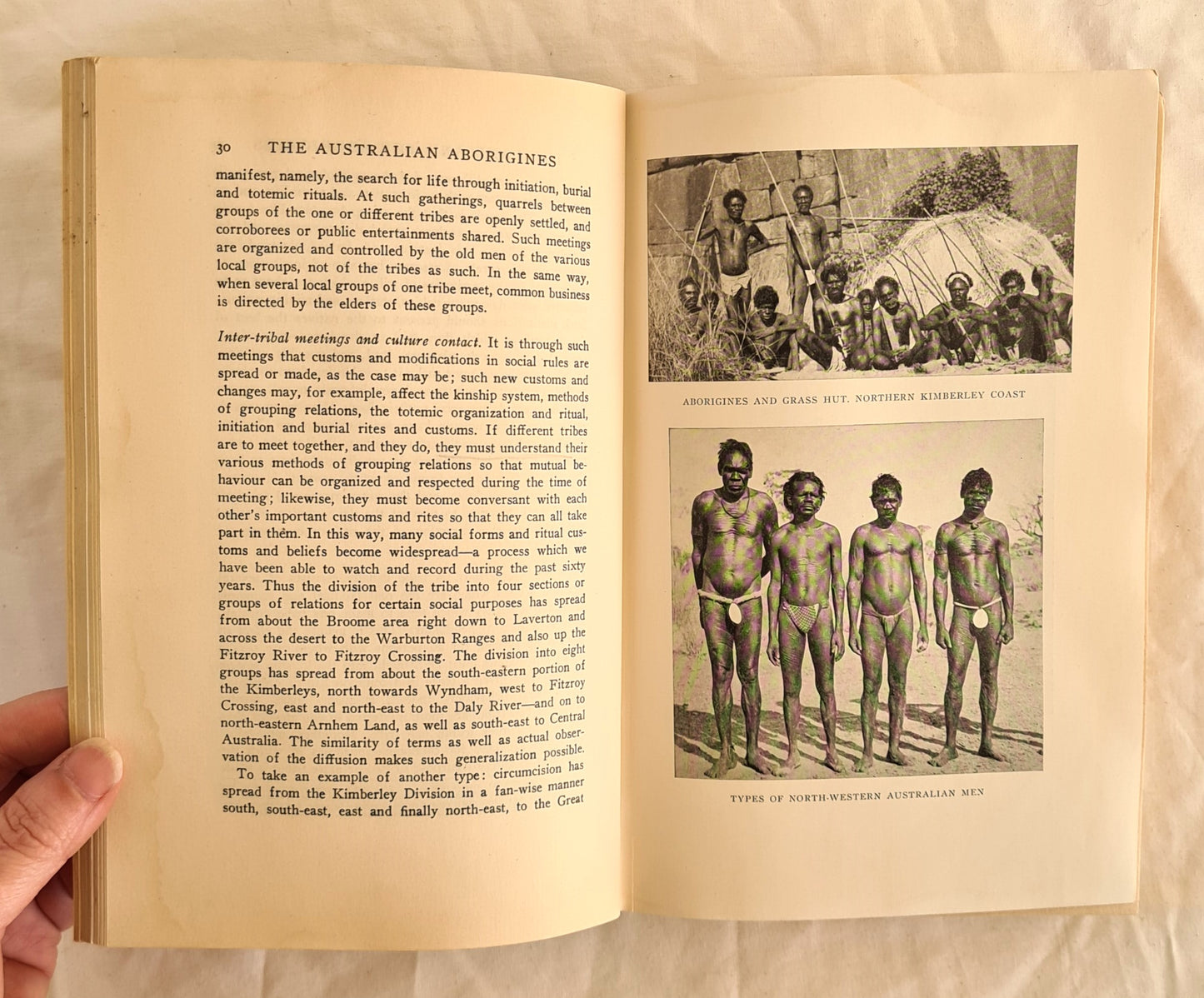 The Australian Aborigines by A. P. Elkin