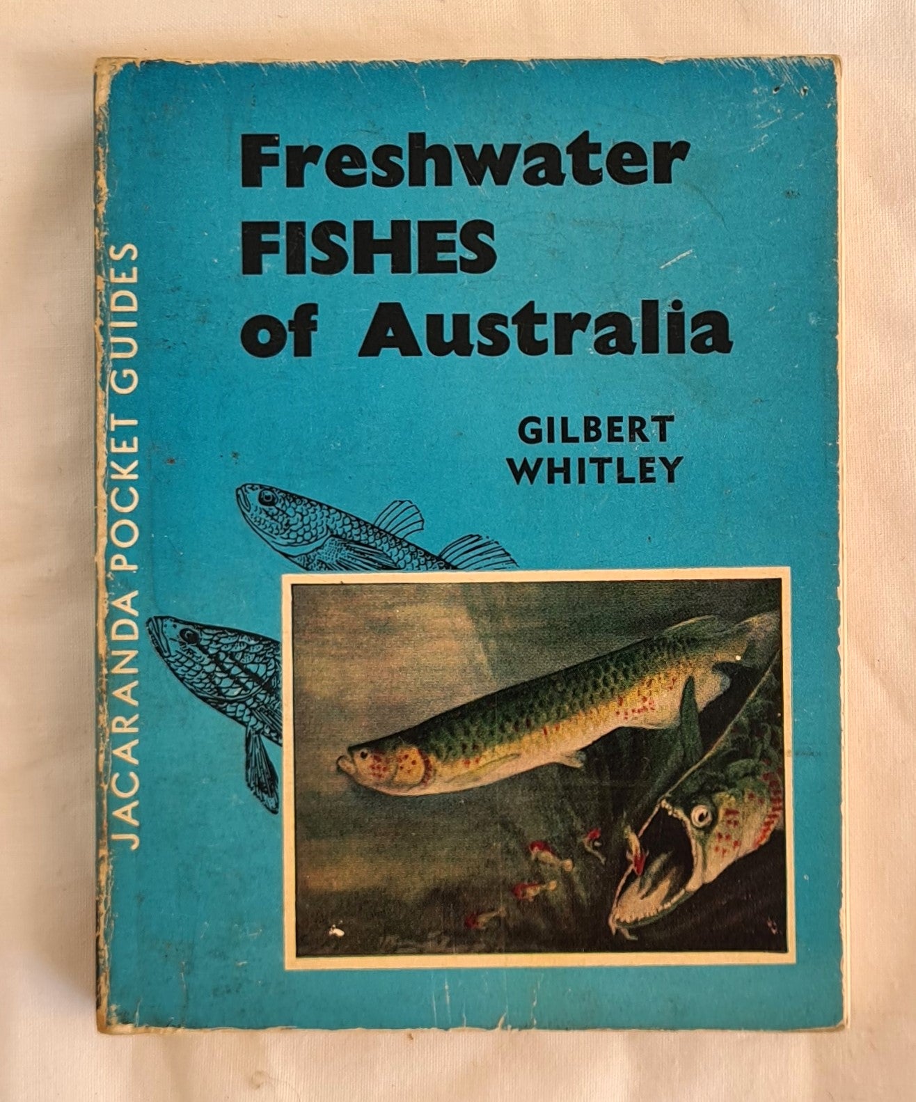 Freshwater Fishes of Australia  by Gilbert P. Whitley  Jacaranda Pocket Guides