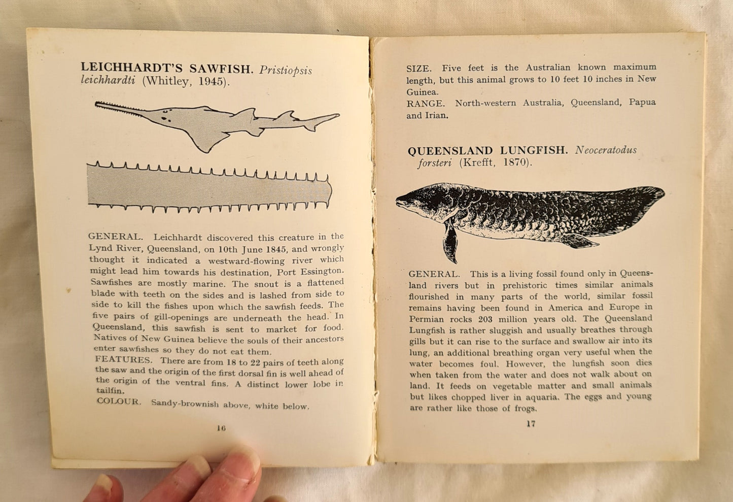 Freshwater Fishes of Australia by Gilbert P. Whitley