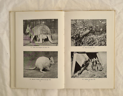 Popular Animals of the World by G. M. Vevers