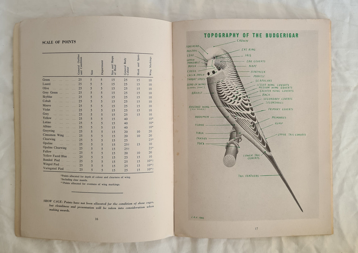 The Budgerigar Standard by The Colour and Standard Committees of The Budgerigar Society of Australasia