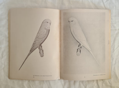The Budgerigar Standard by The Colour and Standard Committees of The Budgerigar Society of Australasia